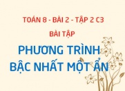 Bài tập phương trình bậc nhất một ẩn có đáp án - Toán 8 bài 2 tập 2 chương 3